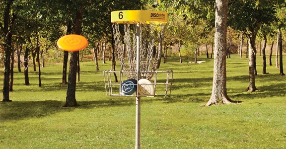 Disc Golf