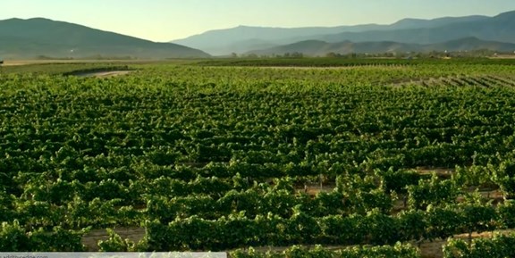 Temecula Valley Wineries