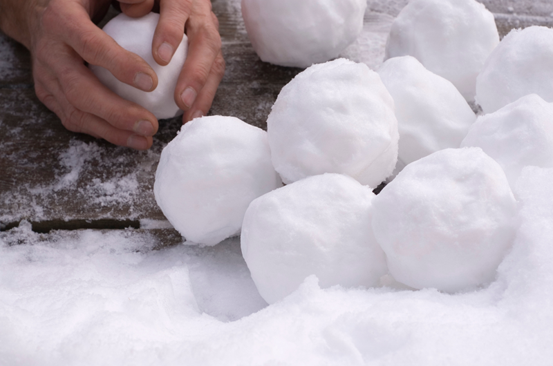 Snow Days Photo