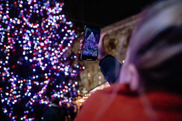 Light up the Park: Annual Holiday Lights Ceremony Photo