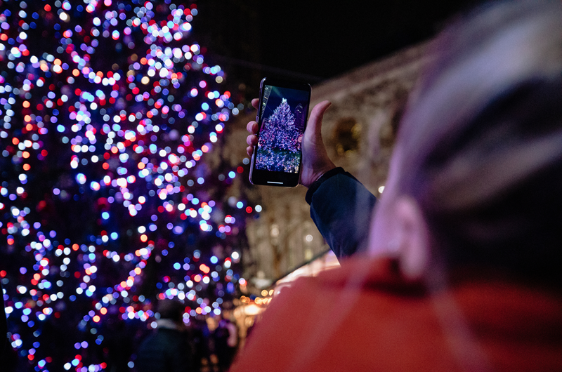 Light up the Park: Annual Holiday Lights Ceremony Photo