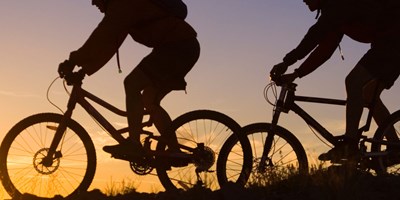 Activities for November 16-22