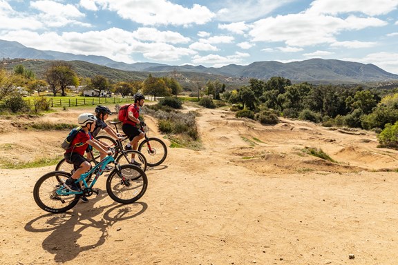Plan a trip to Borrego Springs, California
