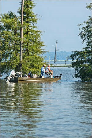 Millwood Lake