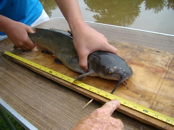 Fishing Tournament