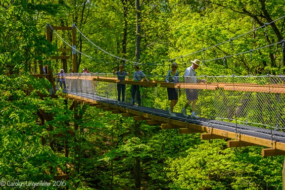 Holden Arboretum