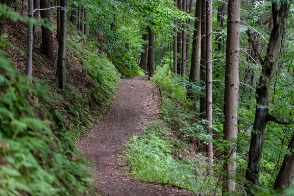 Thompson Ledges Township Park