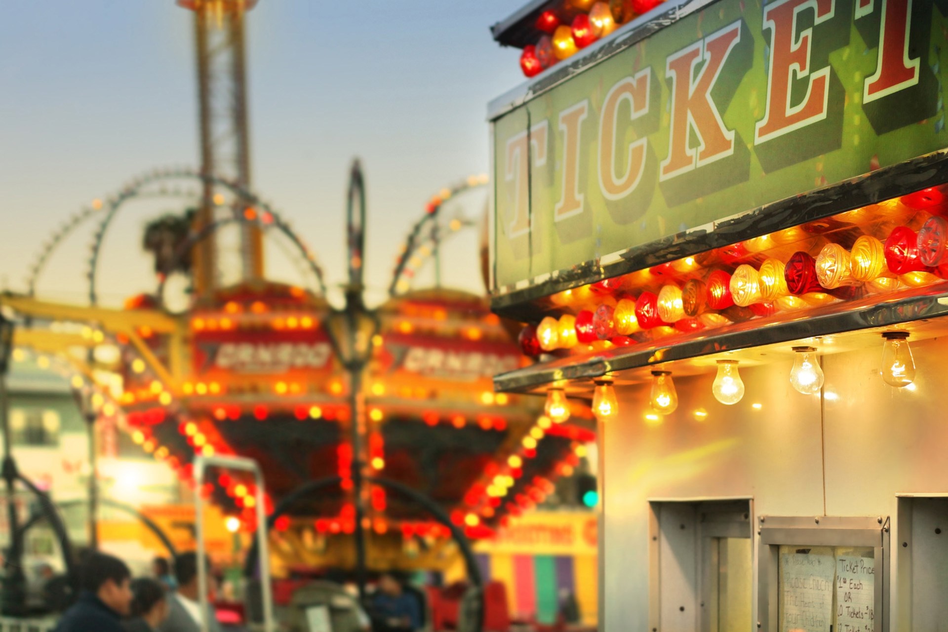 Trumbull County Fair Photo