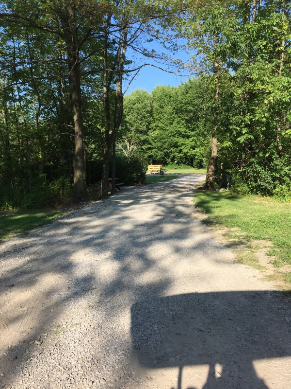 Pull Thru wooded site