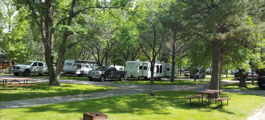campers in the rv sites