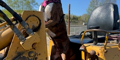 New Member To The Team!