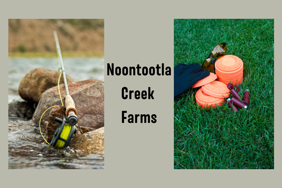 Noontootla Creek Farms
