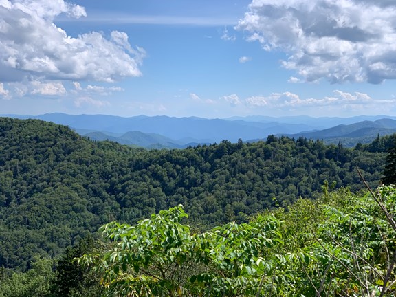 Chattahoochee National Forest