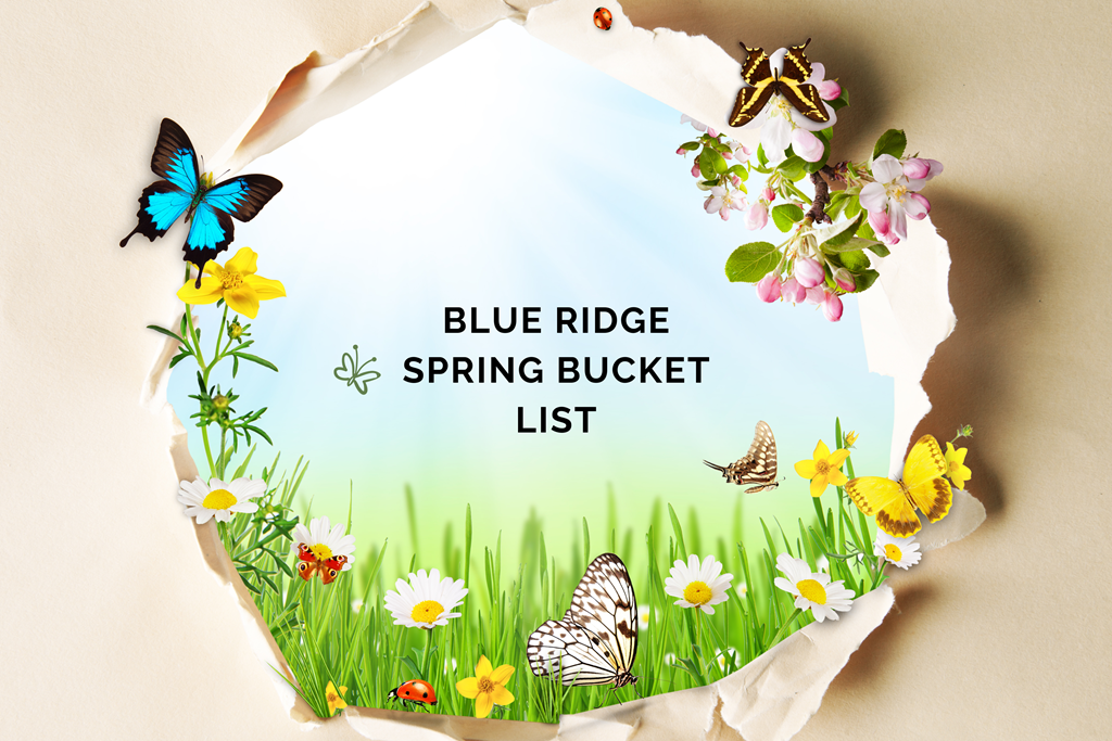 Blue Ridge Spring Break Bucket List