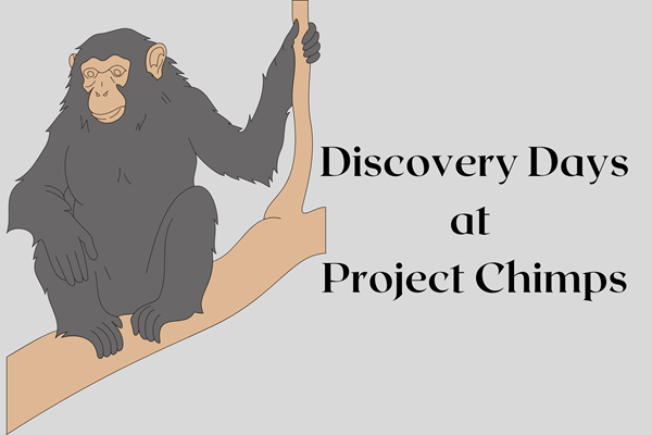 Discovery Days at Project Chimps Photo
