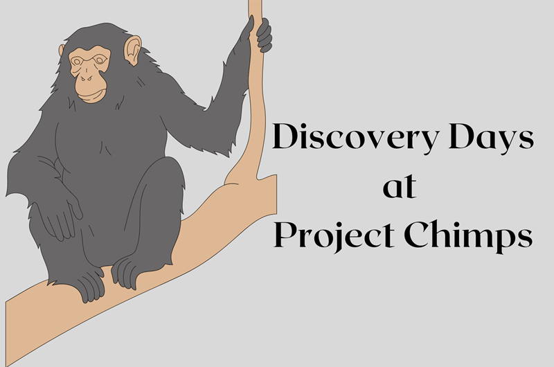 Discovery Days at Project Chimps Photo