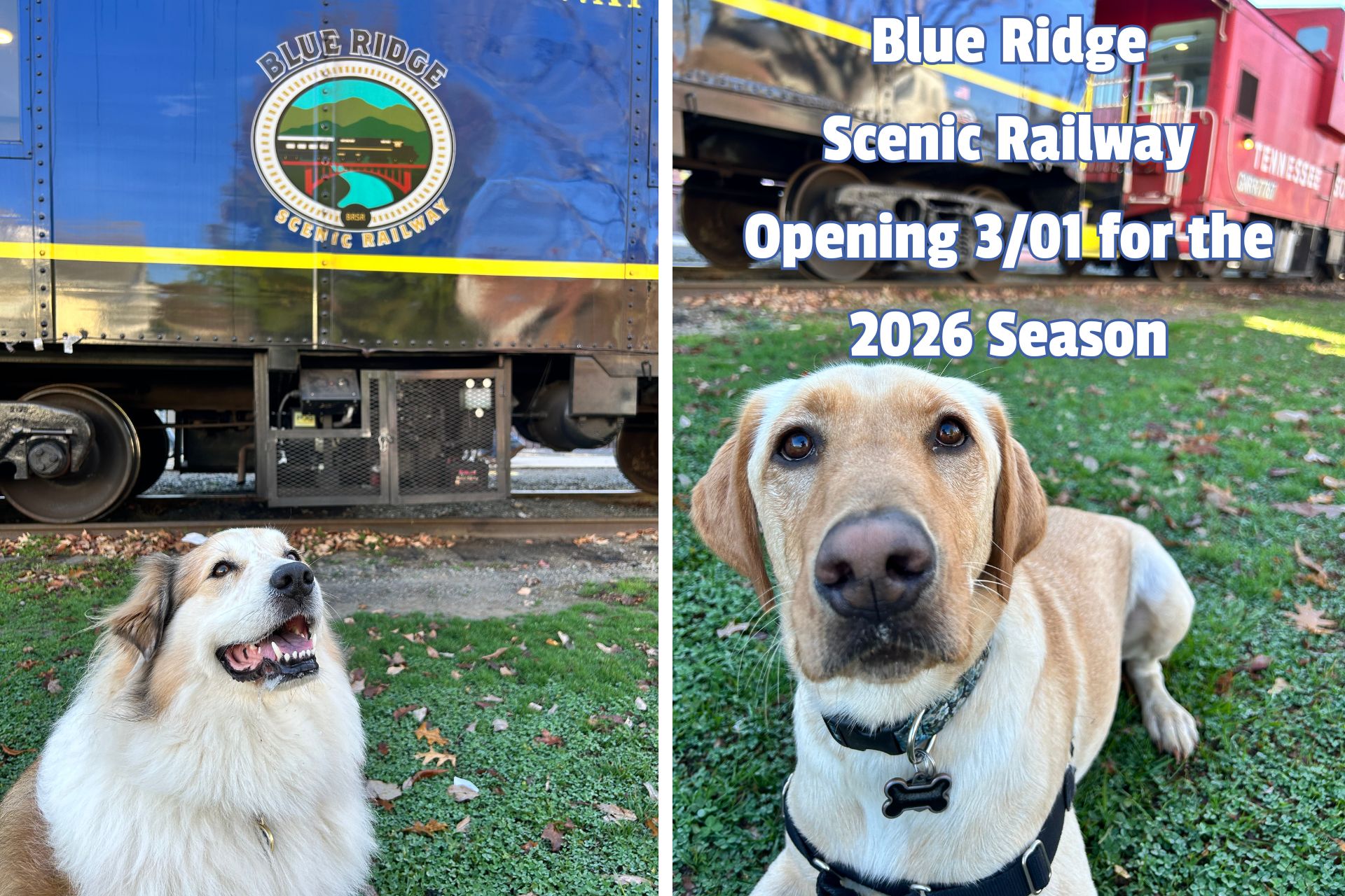 Blue Ridge Scenic Railway Photo