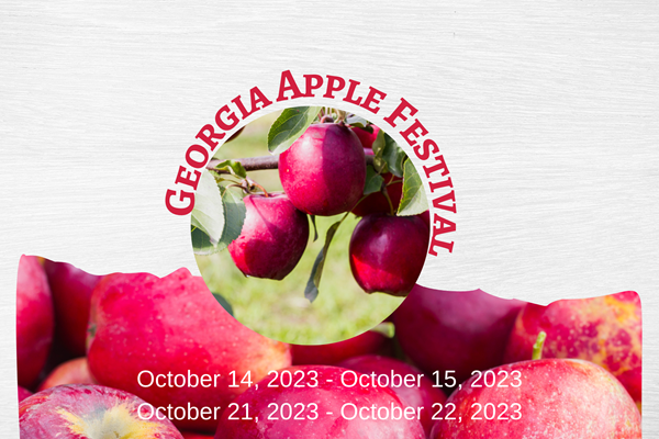 2023 Georgia Apple Festival Photo