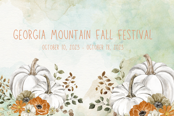 Georgia Mountain Fall Festival Photo