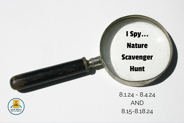 I Spy...Nature Scavenger Hunt Photo