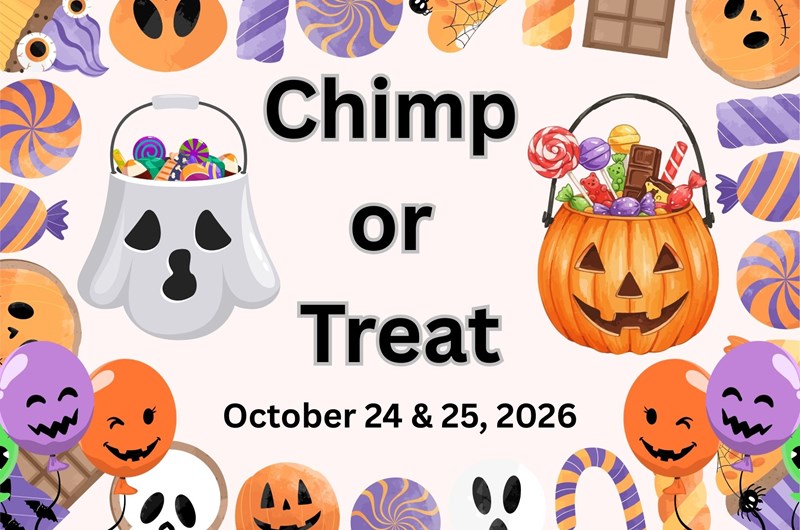 Chimp or Treat ~ Project Chimps Photo