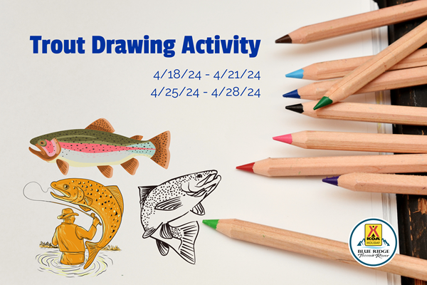 Trout Drawing Activity Photo