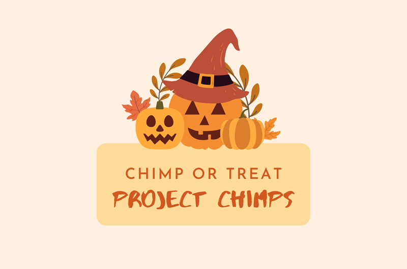 Chimp or Treat at Project Chimps Photo