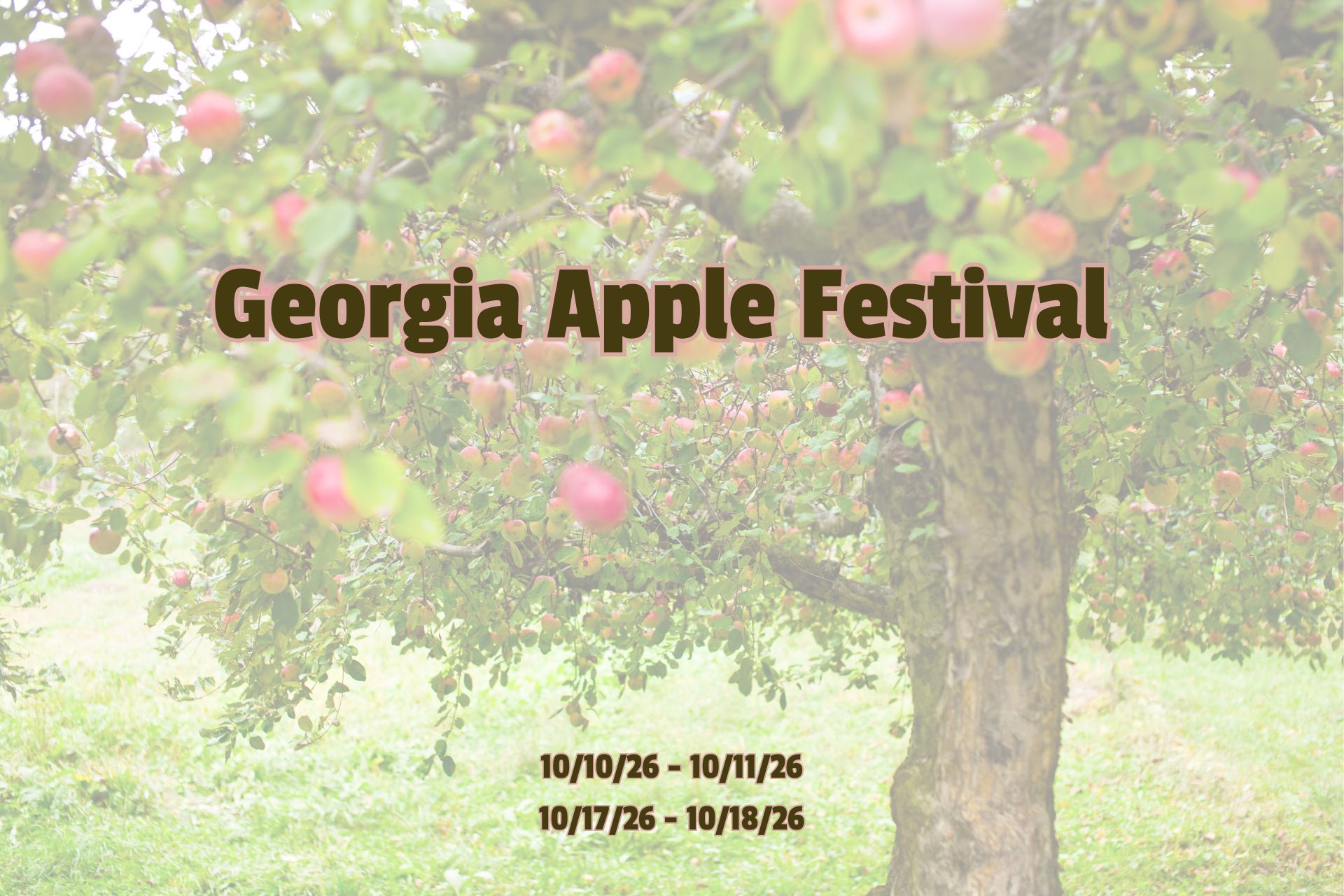 Georgia Apple Festival Photo