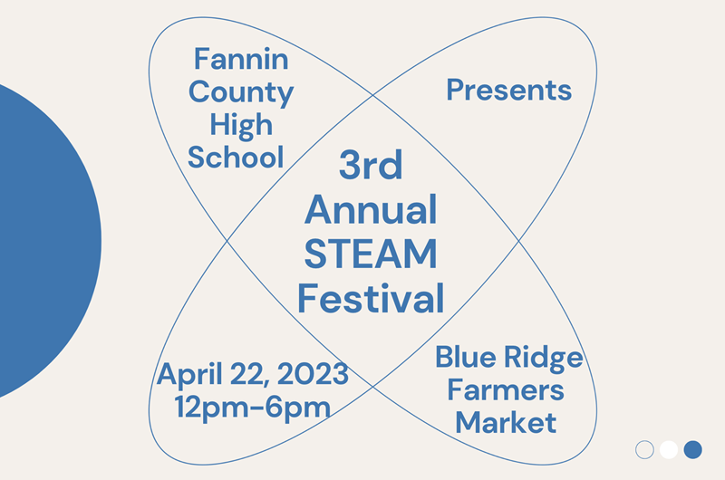 3rd Annual STEAM Festival - Fannin County High School Photo