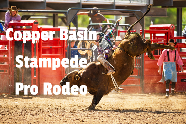 Copper Basin Stampede Pro Rodeo Photo