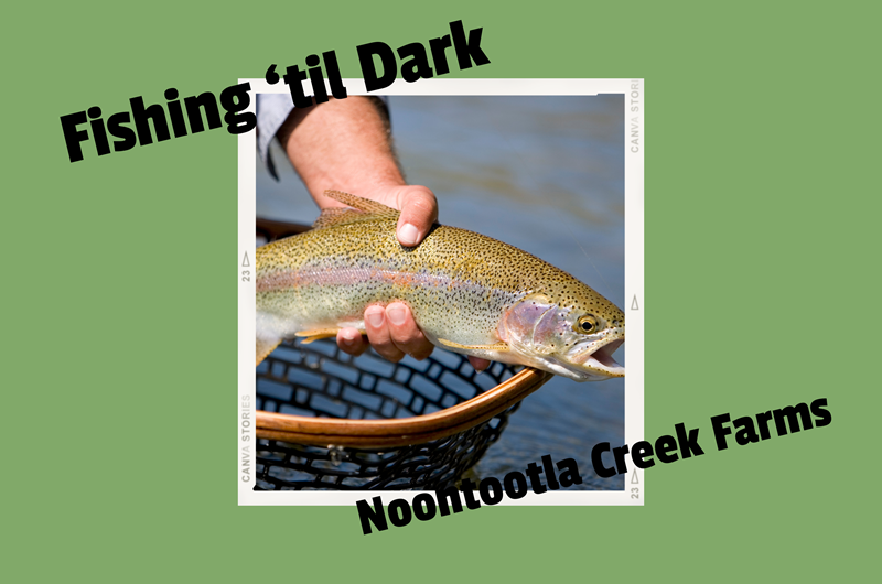 Fishing 'til Dark at Noontootla Creek Farms Photo