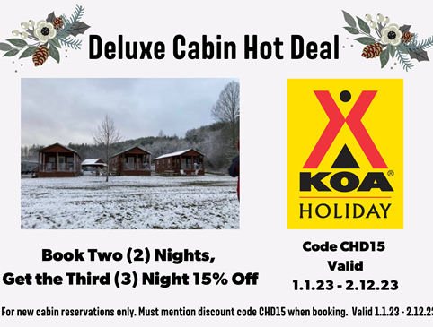 Cabin Hot Deal 2023 Photo