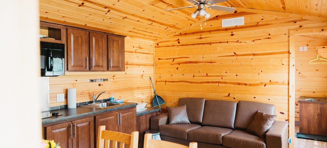 Chilliwack Cabin - Interior 2