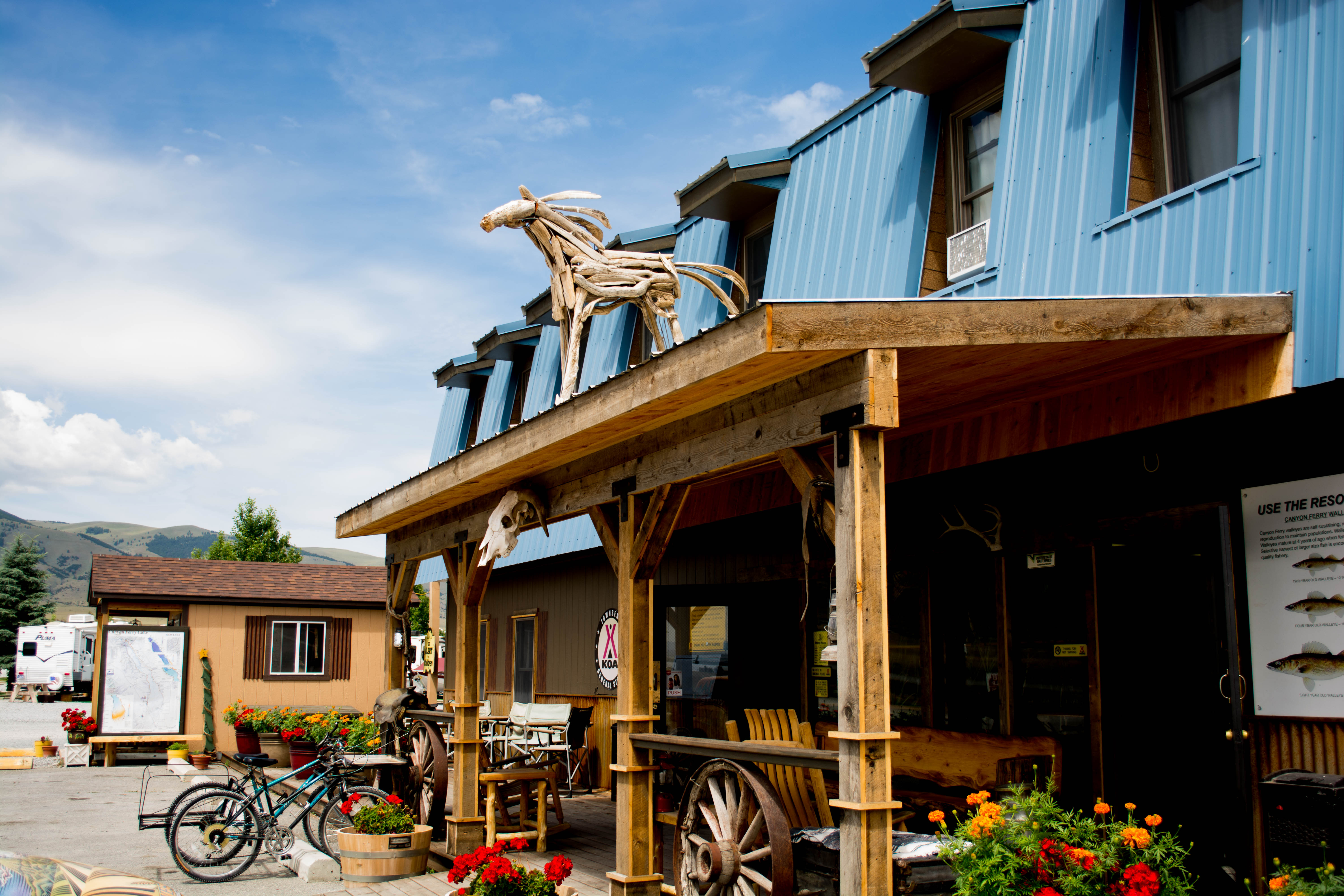 flamingo grill montana flamingo grill montana