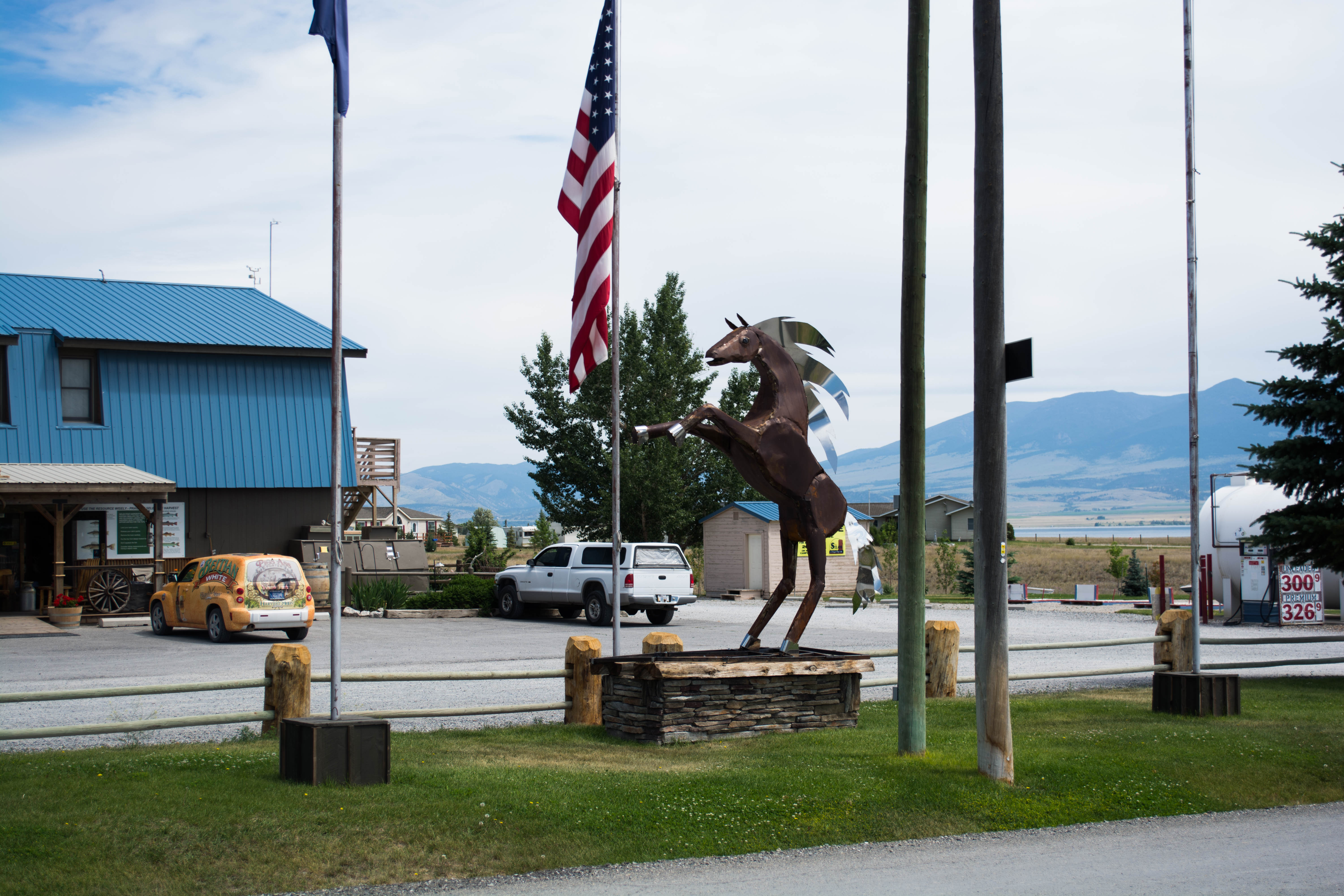 flamingo grill montana flamingo grill montana