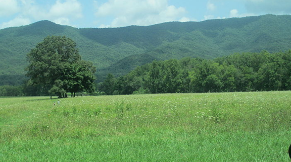 Cades Cove