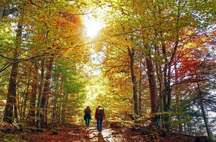 10 Of The Best Fall Hikes