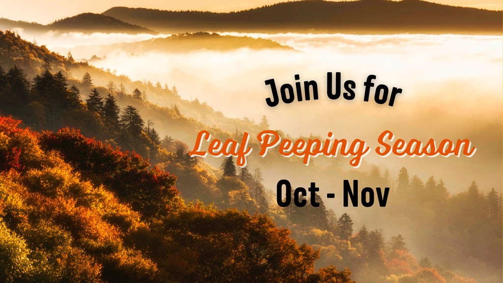The Ultimate Guide to Leaf Peeping in Townsend, TN