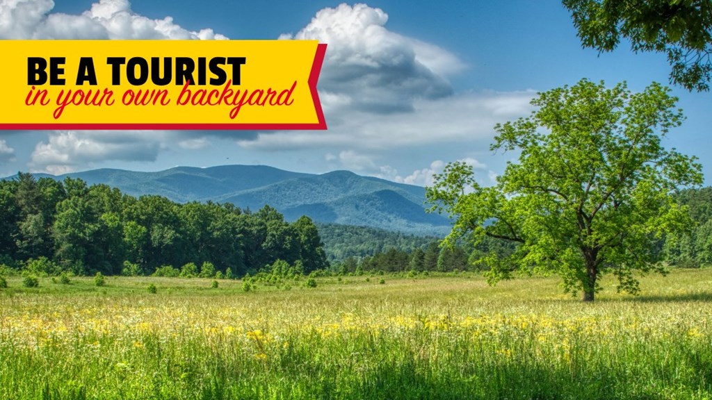Be a Tourist in Your Own Backyard