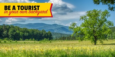 Be a Tourist in Your Own Backyard