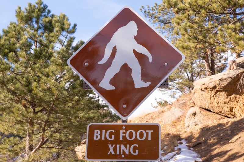 Smoky Mountain Bigfoot Festival Photo