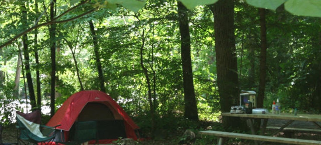 Primitive Tent Site-1
