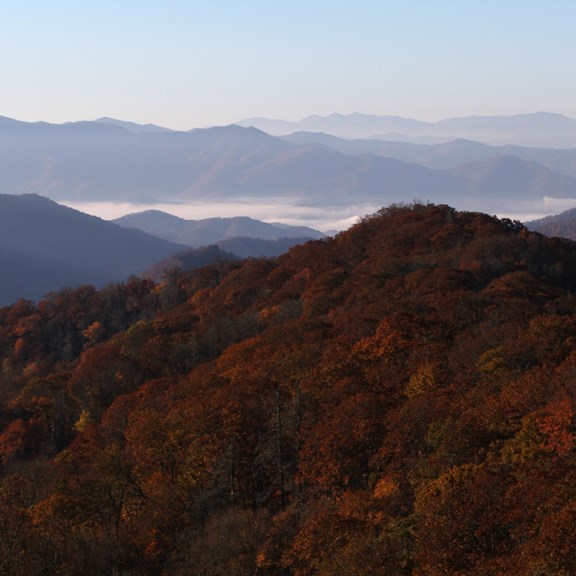 Plan a trip to Collegedale, Tennessee