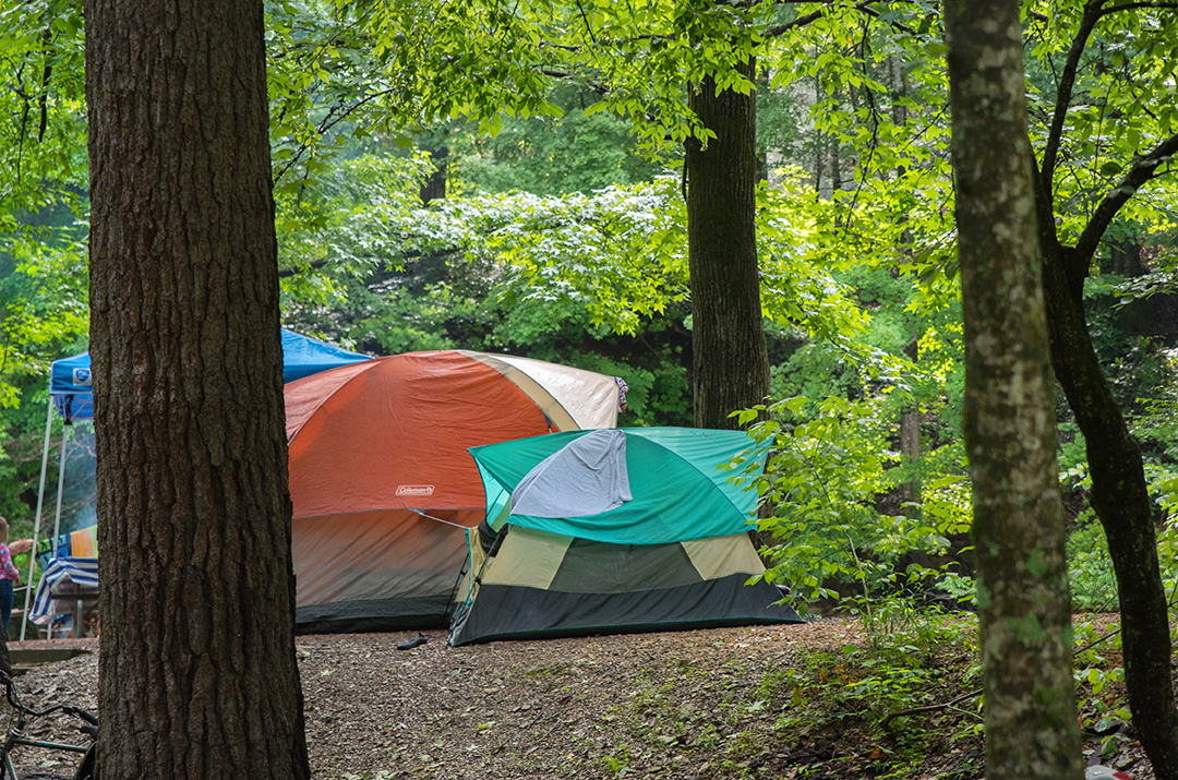 Townsend, Tennessee Tent Camping Sites Townsend / Great Smokies KOA Holiday