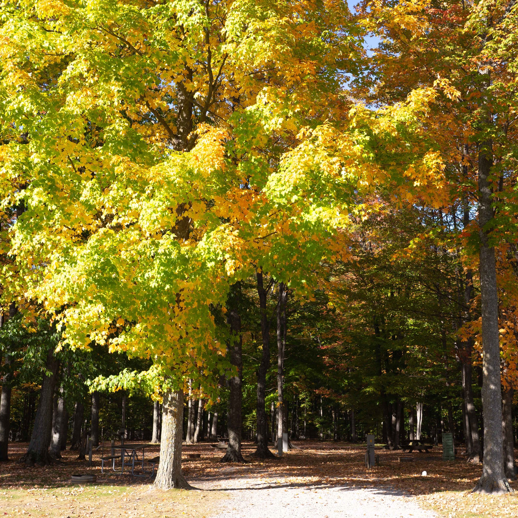 Buckley, Michigan Camping Photos Traverse City KOA