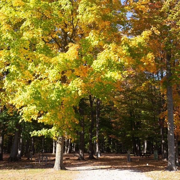 Plan a trip to Sand Lake, Michigan