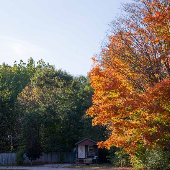 Plan a trip to Saint Louis, Michigan