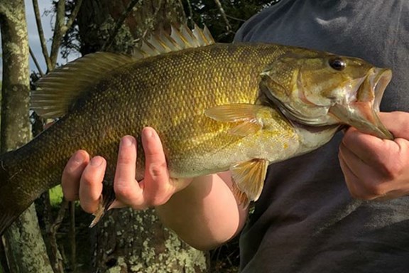 Fishing