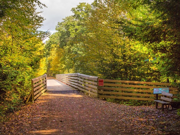 Rails to Trails