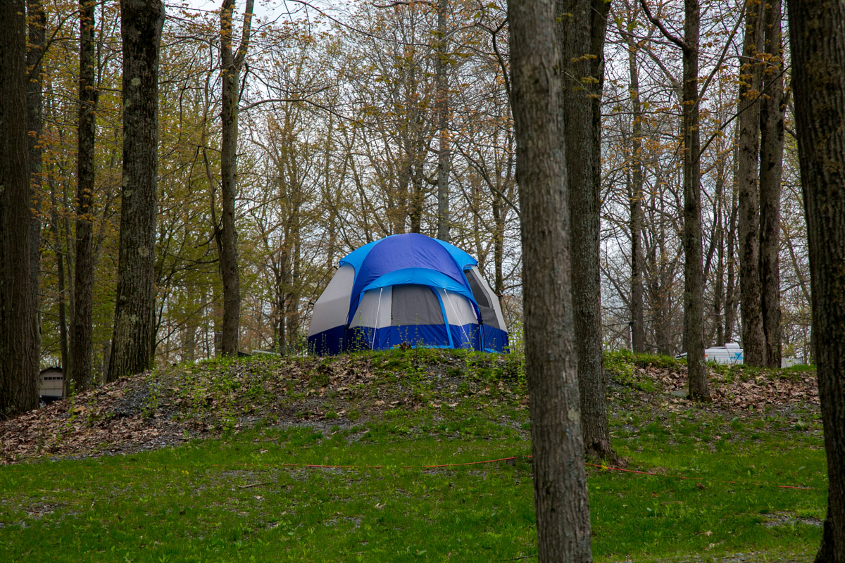 Individual Tent Site, Water & Electric, Gravel Tent Pad Pictures